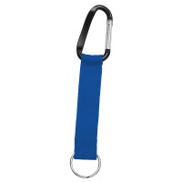ongeveer Pantone reflex blue C/zwart