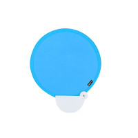 BLAUW LICHT