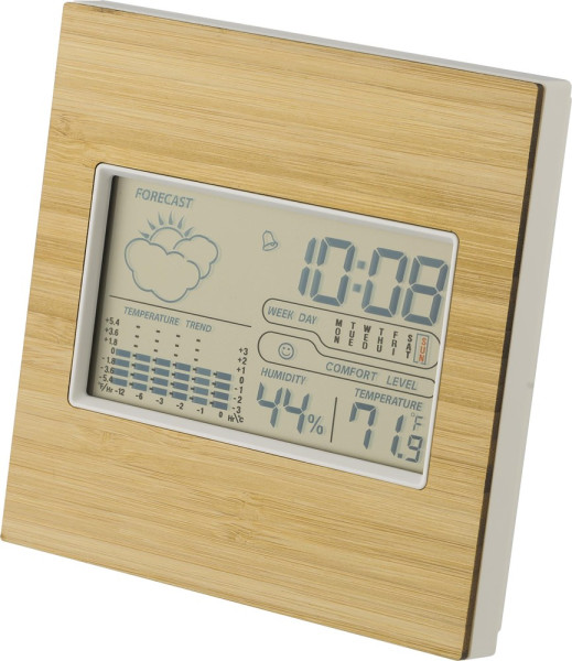 Bamboe weerstation Lia